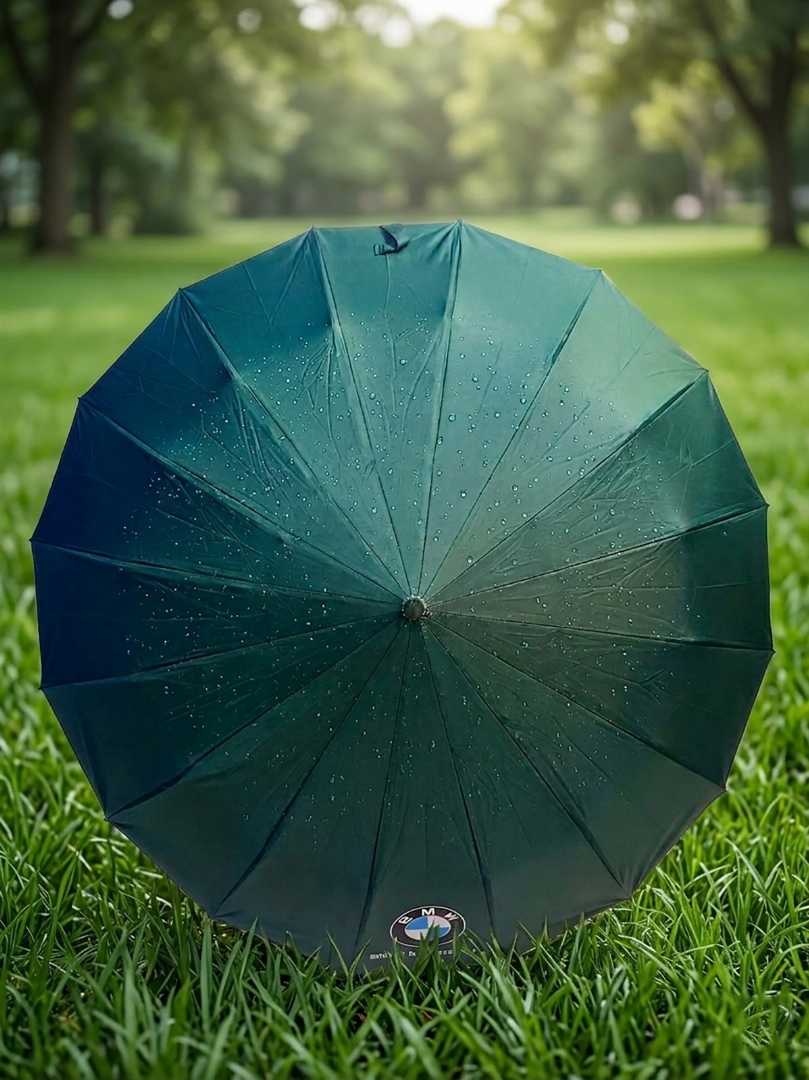 BMW,Motorsport,16-Sticks,Automatic,Umbrella